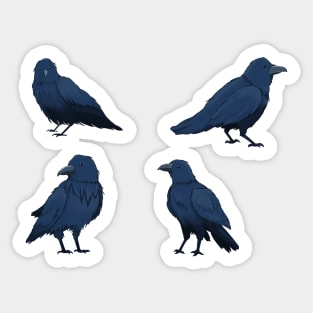 crows Sticker